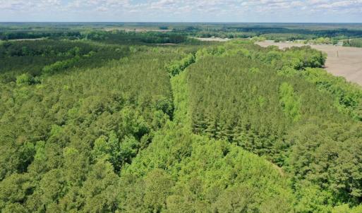 Photo #42 of SOLD property in Off Wilcox Lane, Vanceboro, NC 57.8 acres