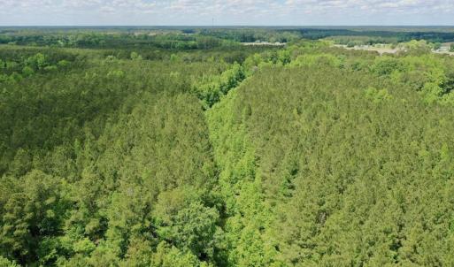 Photo #44 of SOLD property in Off Wilcox Lane, Vanceboro, NC 57.8 acres
