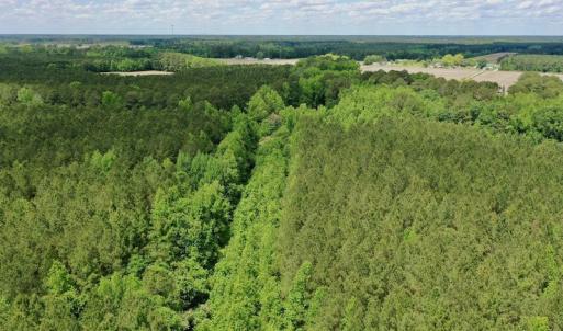 Photo #45 of SOLD property in Off Wilcox Lane, Vanceboro, NC 57.8 acres