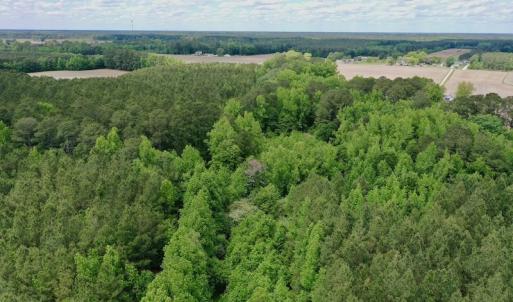Photo #46 of SOLD property in Off Wilcox Lane, Vanceboro, NC 57.8 acres