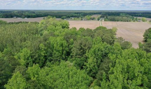 Photo #47 of SOLD property in Off Wilcox Lane, Vanceboro, NC 57.8 acres