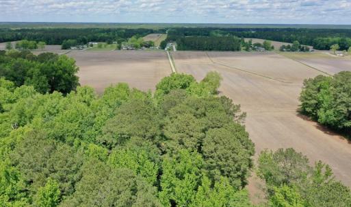 Photo #48 of SOLD property in Off Wilcox Lane, Vanceboro, NC 57.8 acres