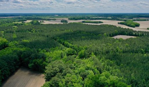 Photo #49 of SOLD property in Off Wilcox Lane, Vanceboro, NC 57.8 acres