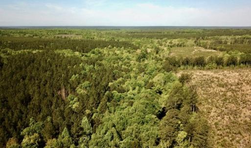 Photo #2 of SOLD property in Off Hobbs Rd., Emporia, VA 70.0 acres