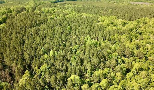Photo #6 of SOLD property in Off Hobbs Rd., Emporia, VA 70.0 acres