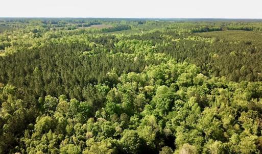 Photo #3 of SOLD property in Off Hobbs Rd., Emporia, VA 70.0 acres