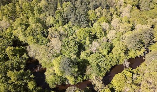 Photo #8 of SOLD property in Off Hobbs Rd., Emporia, VA 70.0 acres
