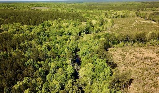Photo #9 of SOLD property in Off Hobbs Rd., Emporia, VA 70.0 acres