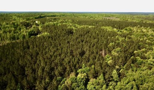 Photo #10 of SOLD property in Off Hobbs Rd., Emporia, VA 70.0 acres