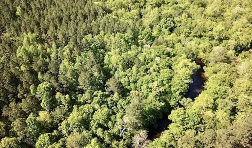 Photo #11 of SOLD property in Off Hobbs Rd., Emporia, VA 70.0 acres
