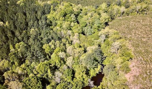 Photo #12 of SOLD property in Off Hobbs Rd., Emporia, VA 70.0 acres