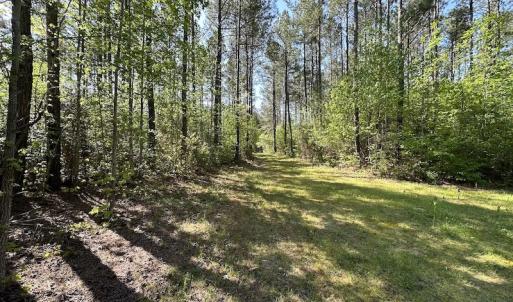 Photo #15 of SOLD property in Off Hobbs Rd., Emporia, VA 70.0 acres