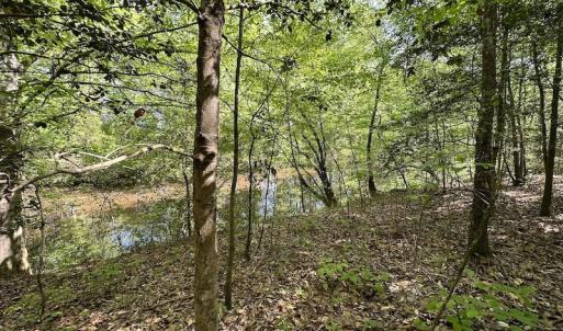 Photo #17 of SOLD property in Off Hobbs Rd., Emporia, VA 70.0 acres