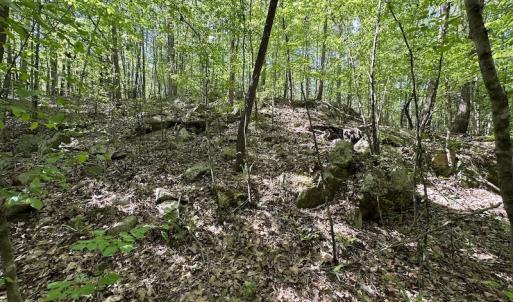 Photo #18 of SOLD property in Off Hobbs Rd., Emporia, VA 70.0 acres
