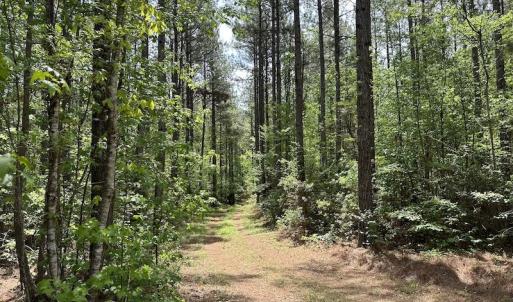 Photo #19 of SOLD property in Off Hobbs Rd., Emporia, VA 70.0 acres