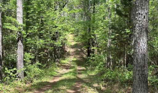 Photo #20 of SOLD property in Off Hobbs Rd., Emporia, VA 70.0 acres