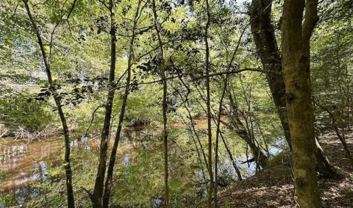 Photo #21 of SOLD property in Off Hobbs Rd., Emporia, VA 70.0 acres