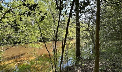 Photo #24 of SOLD property in Off Hobbs Rd., Emporia, VA 70.0 acres
