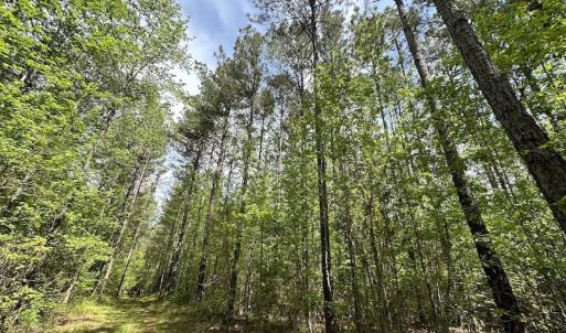 Photo #25 of SOLD property in Off Hobbs Rd., Emporia, VA 70.0 acres