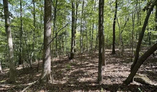 Photo #26 of SOLD property in Off Hobbs Rd., Emporia, VA 70.0 acres