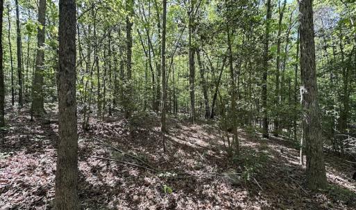 Photo #28 of SOLD property in Off Hobbs Rd., Emporia, VA 70.0 acres