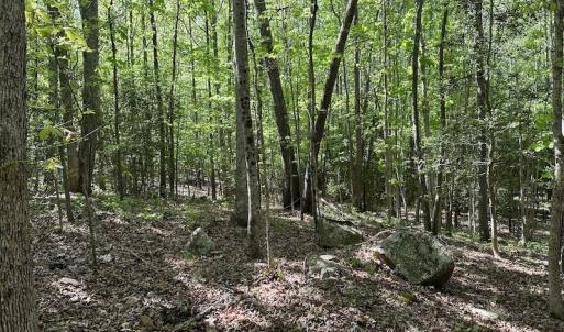 Photo #29 of SOLD property in Off Hobbs Rd., Emporia, VA 70.0 acres