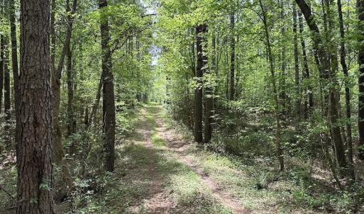 Photo #30 of SOLD property in Off Hobbs Rd., Emporia, VA 70.0 acres