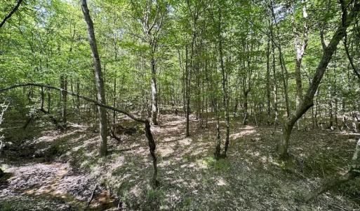Photo #31 of SOLD property in Off Hobbs Rd., Emporia, VA 70.0 acres