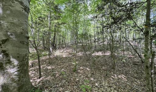 Photo #32 of SOLD property in Off Hobbs Rd., Emporia, VA 70.0 acres