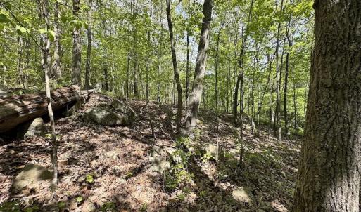 Photo #33 of SOLD property in Off Hobbs Rd., Emporia, VA 70.0 acres