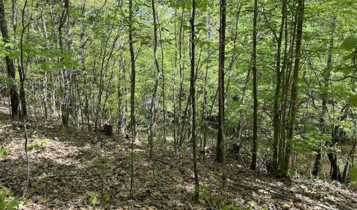 Photo #34 of SOLD property in Off Hobbs Rd., Emporia, VA 70.0 acres