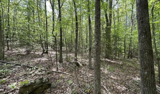 Photo #35 of SOLD property in Off Hobbs Rd., Emporia, VA 70.0 acres