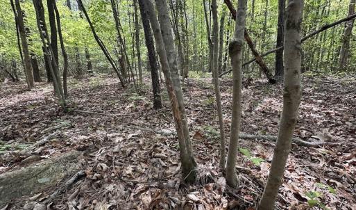 Photo #36 of SOLD property in Off Hobbs Rd., Emporia, VA 70.0 acres