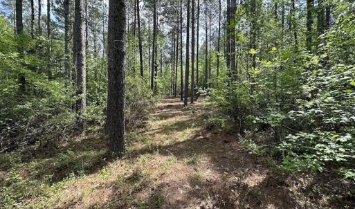 Photo #37 of SOLD property in Off Hobbs Rd., Emporia, VA 70.0 acres