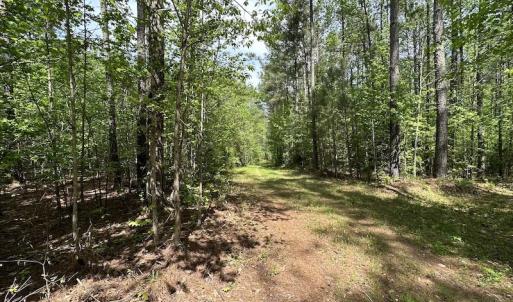 Photo #38 of SOLD property in Off Hobbs Rd., Emporia, VA 70.0 acres