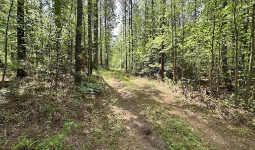 Photo #39 of SOLD property in Off Hobbs Rd., Emporia, VA 70.0 acres