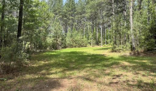 Photo #40 of SOLD property in Off Hobbs Rd., Emporia, VA 70.0 acres