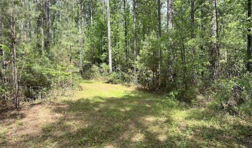 Photo #41 of SOLD property in Off Hobbs Rd., Emporia, VA 70.0 acres