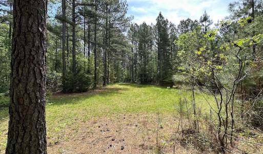 Photo #42 of SOLD property in Off Hobbs Rd., Emporia, VA 70.0 acres