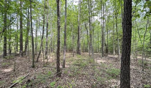 Photo #43 of SOLD property in Off Hobbs Rd., Emporia, VA 70.0 acres