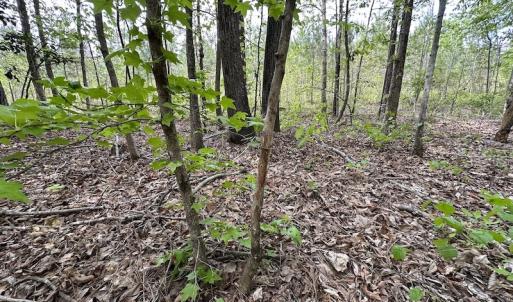 Photo #44 of SOLD property in Off Hobbs Rd., Emporia, VA 70.0 acres