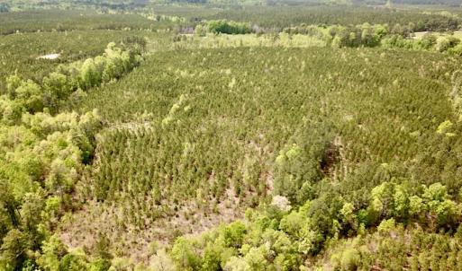 Photo #3 of SOLD property in Off Doyles Lake Rd, Emporia, VA 74.3 acres
