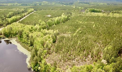 Photo #4 of SOLD property in Off Doyles Lake Rd, Emporia, VA 74.3 acres