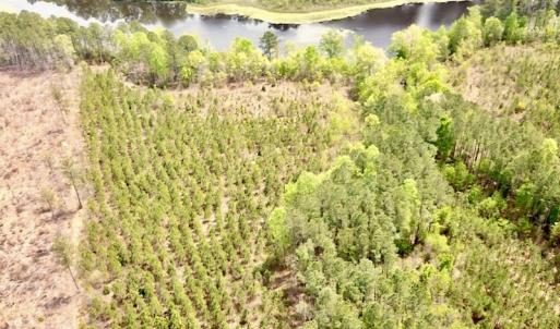 Photo #5 of SOLD property in Off Doyles Lake Rd, Emporia, VA 74.3 acres