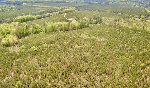 Photo #6 of SOLD property in Off Doyles Lake Rd, Emporia, VA 74.3 acres
