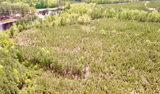 Photo #7 of SOLD property in Off Doyles Lake Rd, Emporia, VA 74.3 acres