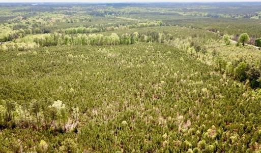 Photo #8 of SOLD property in Off Doyles Lake Rd, Emporia, VA 74.3 acres