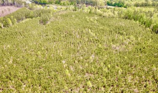 Photo #9 of SOLD property in Off Doyles Lake Rd, Emporia, VA 74.3 acres