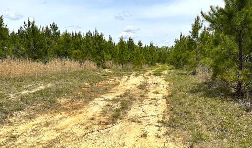 Photo #12 of SOLD property in Off Doyles Lake Rd, Emporia, VA 74.3 acres