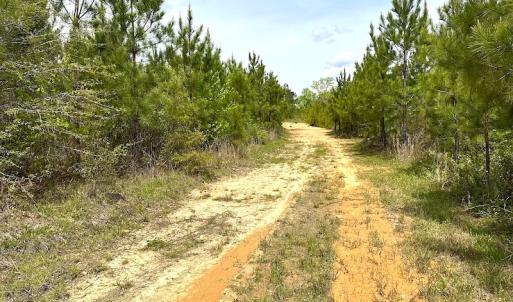 Photo #13 of SOLD property in Off Doyles Lake Rd, Emporia, VA 74.3 acres